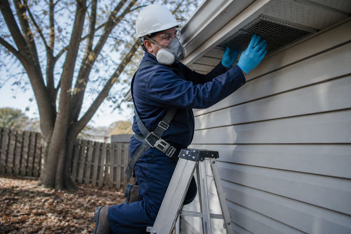 Wildlife Removal